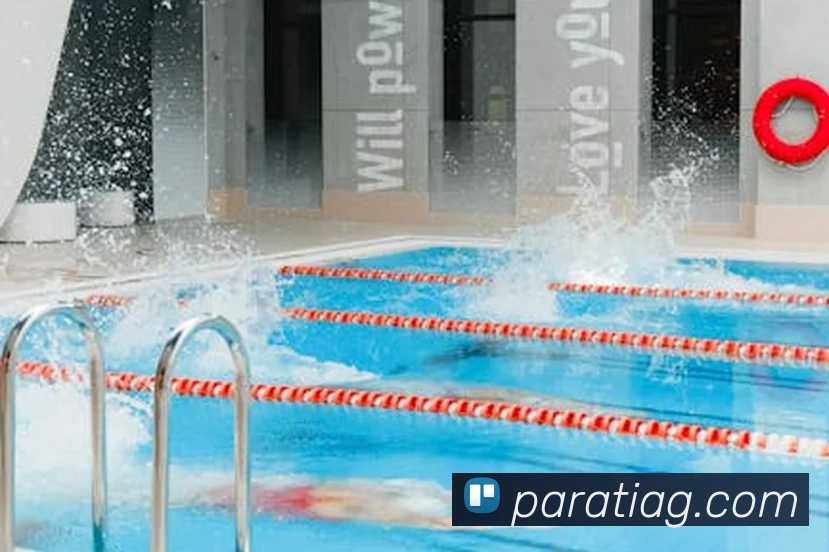 ag百家乐服务体系